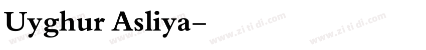 Uyghur Asliya字体转换